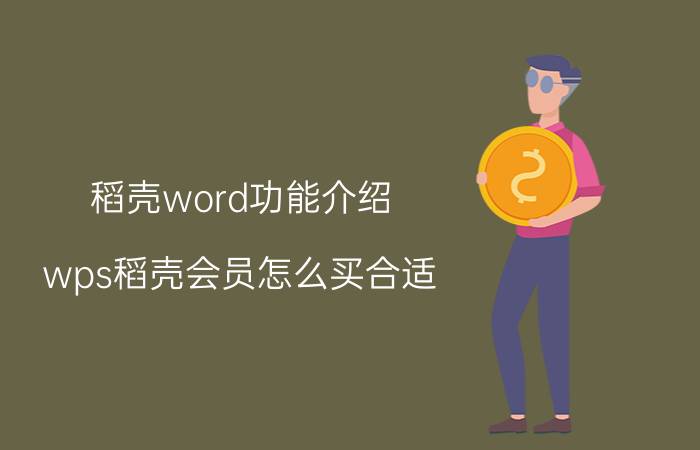 稻壳word功能介绍 wps稻壳会员怎么买合适？